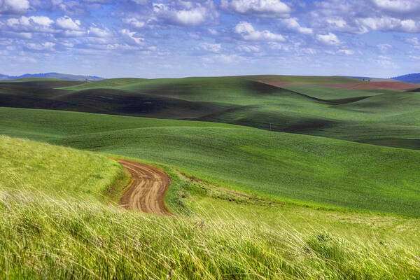 Country Road Poster featuring the photograph Country Road - Palouse - Washington by Nikolyn McDonald