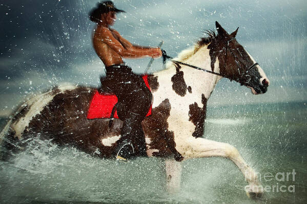 Horse Poster featuring the photograph Cowboy riding paint horse in the water by Dimitar Hristov