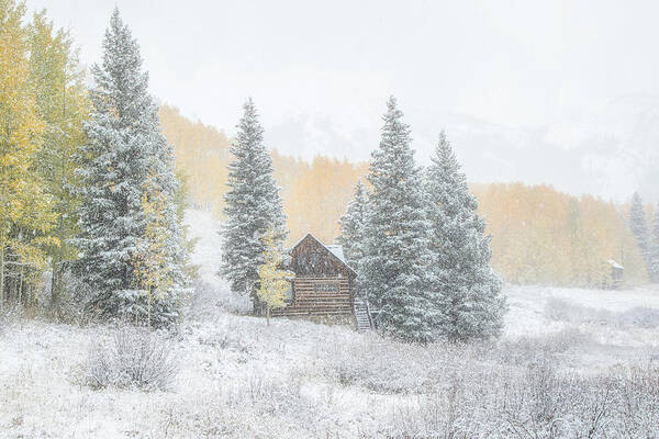 Colorado Poster featuring the photograph Cozy Cabin by Kristal Kraft