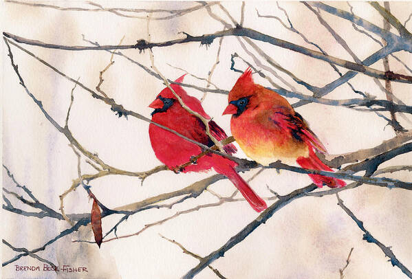 Male And Female Cardinals Sitting Side By Side On A Tree Branch. Poster featuring the painting Cozy Couple by Brenda Beck Fisher