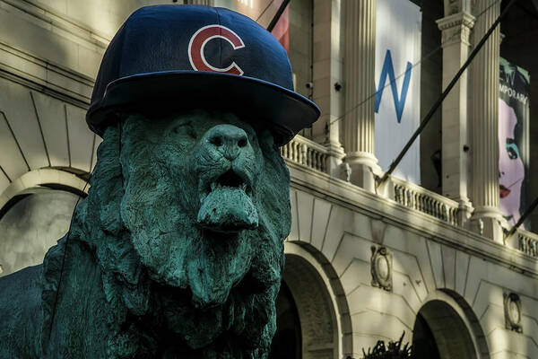 Chicago Poster featuring the photograph Cub hat on Art Institute Lion Telephoto by Sven Brogren