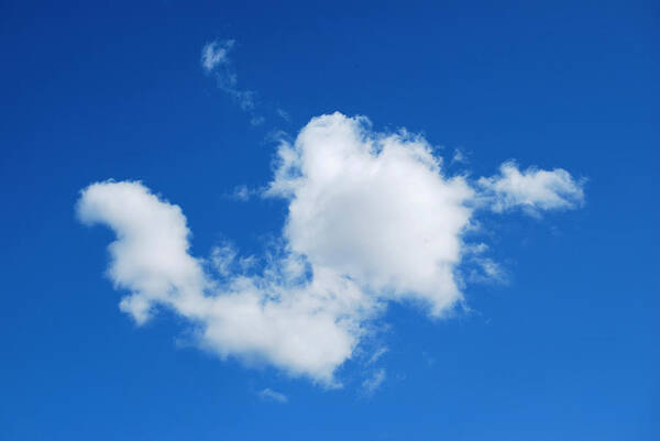 Cumulus Cloud Poster featuring the photograph Cumulus by Marilynne Bull
