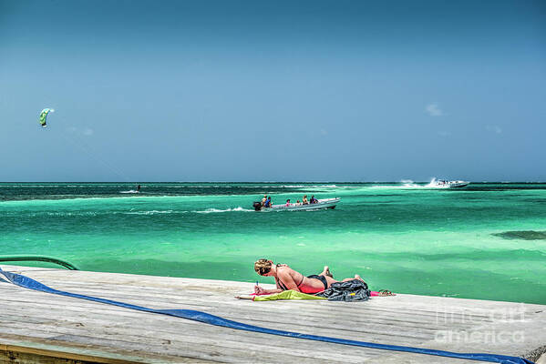 Caye Caulker Belize Poster featuring the photograph Curious Bikini Clad Sunbather by David Zanzinger