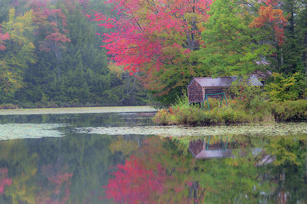 Fall Poster featuring the photograph Curtis Pond Misty Autumn by Alan L Graham
