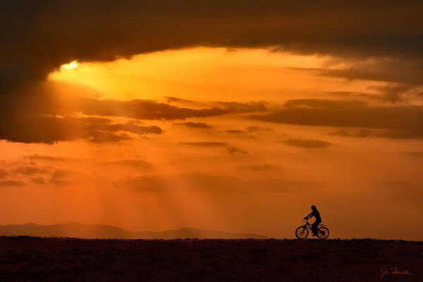 Sun Poster featuring the photograph Cycling Into Sunrays by Joe Bonita