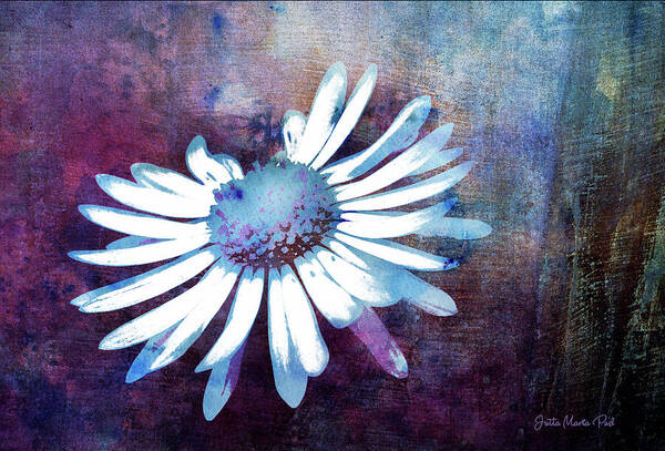 Photo Poster featuring the mixed media Daisy by Jutta Maria Pusl