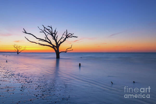 Boneyard Beach Poster featuring the photograph Dead Forest Sunrise by Michael Ver Sprill