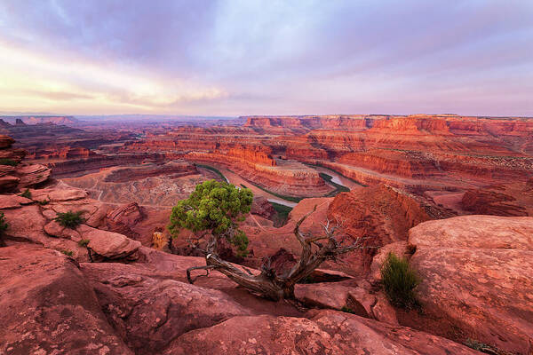 American Poster featuring the photograph Dead Horse Point by Alex Mironyuk