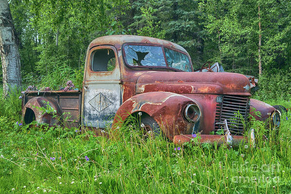 Dead Poster featuring the photograph Dead International Harvester by Paul Quinn