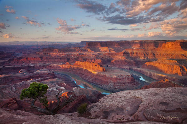 Moab Poster featuring the photograph Deadhorse Point Gooseneck by Dan Norris
