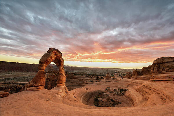 Photograph Poster featuring the photograph Delicate at Sunset by Jon Glaser