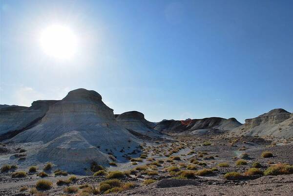 Desert Poster featuring the photograph Desert Rock Formation Landscape - Sun View by Matt Quest