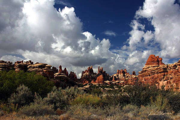 Canyonlands National Park Poster featuring the photograph Devil's Kitchen by Dan Norris