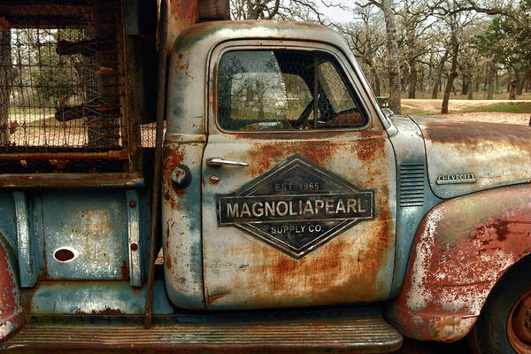 Chevy Poster featuring the photograph Discover MagnoliaPearl by William Rockwell