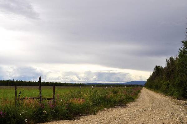 Country Road Poster featuring the photograph Down a Country Road by Cathy Mahnke