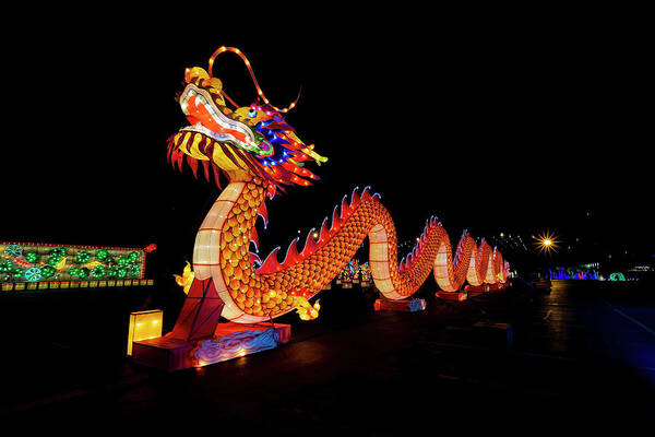 Dragon Poster featuring the photograph Dragon light fest by Sven Brogren