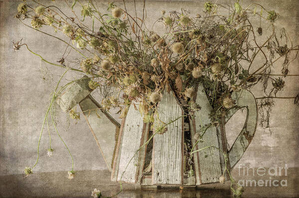 Dried Flowers Poster featuring the photograph Dried Flowers in Watering Can by Tamara Becker