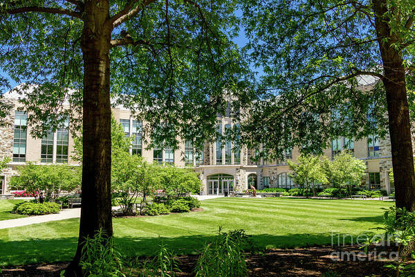 Coffee Poster featuring the photograph Driscoll Hall by William Norton