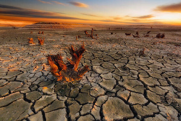 Dry Poster featuring the photograph Dry Lake by Piotr Krol (bax)