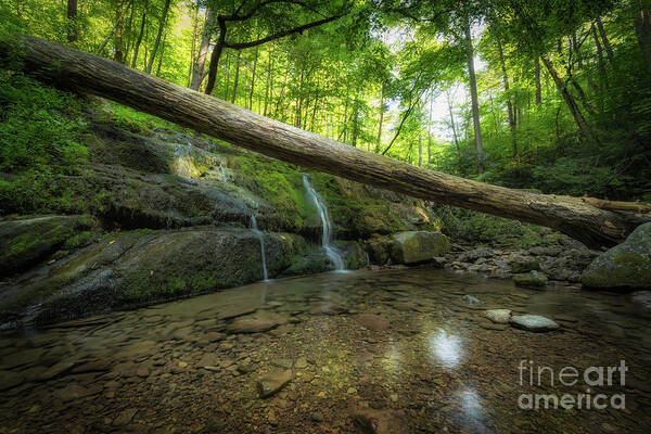 Dunnfield Creek Poster featuring the photograph Dunnfield Creek by Michael Ver Sprill