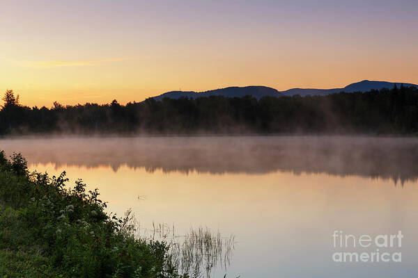 Conservation Poster featuring the photograph Durand Lake Sunrise - Randolph New Hampshire by Erin Paul Donovan