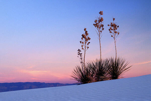 Sand Dune Poster featuring the photograph Dusk at White Sands by Jerry Griffin