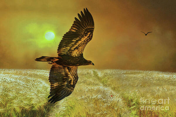 Eagle Poster featuring the mixed media Eagle At Dusk by Deborah Benoit