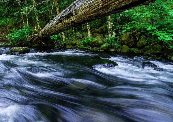 Landscapes Poster featuring the photograph Eagle Creek Rapids by Steven Clark
