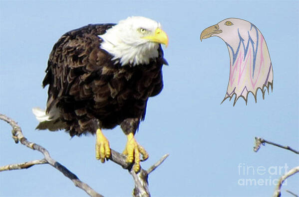 Bald Eagle Poster featuring the mixed media Eagle Reflection by Mary Mikawoz