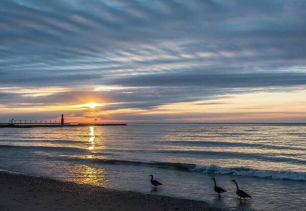 Sunrise Poster featuring the photograph Early Birds by Patti Raine