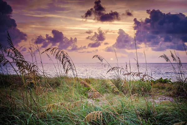 Purple # Sunrise In South Florida # Florida #florida Beach # Florida Beach Pictures # Florida Beach Sunrise # Florida Beaches # Florida Sunrise # Florida Sunset # Sea # Sea Grass # Seascape # South Florida # Poster featuring the photograph Easter Sunrise by Louis Ferreira