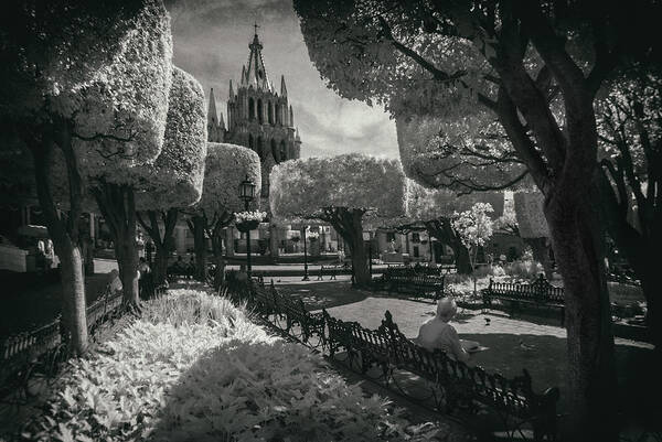 San Miguel De Allende Poster featuring the photograph el Jardin by Sean Foster