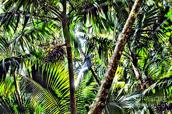Rainforest Poster featuring the photograph El yunque canopy by Carey Chen