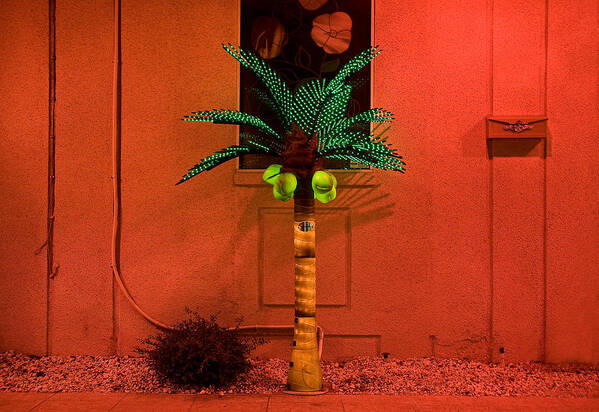 Palm Tree Poster featuring the photograph Electric palm tree by Rich Iwasaki