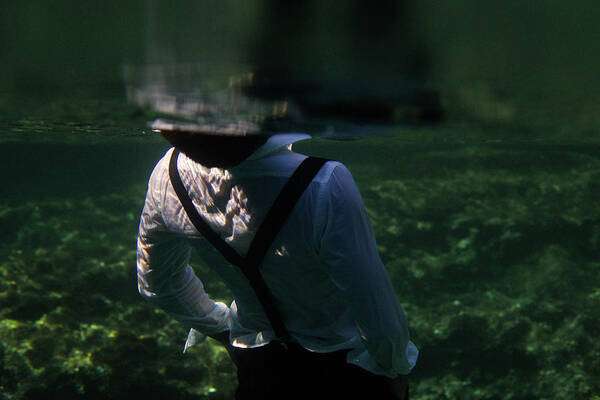 Swim Poster featuring the photograph Elegancy by Gemma Silvestre