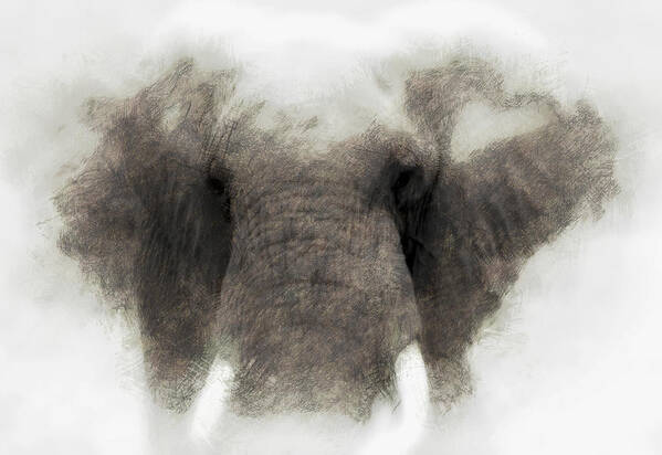 Elephant Poster featuring the photograph Elephant portrait by John Stuart Webbstock