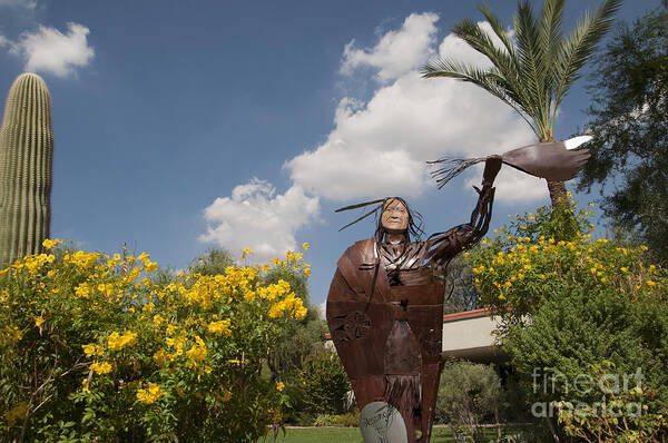 Arizona Poster featuring the photograph Elk Woman Walking by Brenda Kean