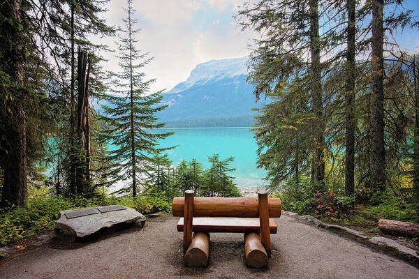 Emerald Lake Poster featuring the photograph Emerald Bench by Deborah Penland