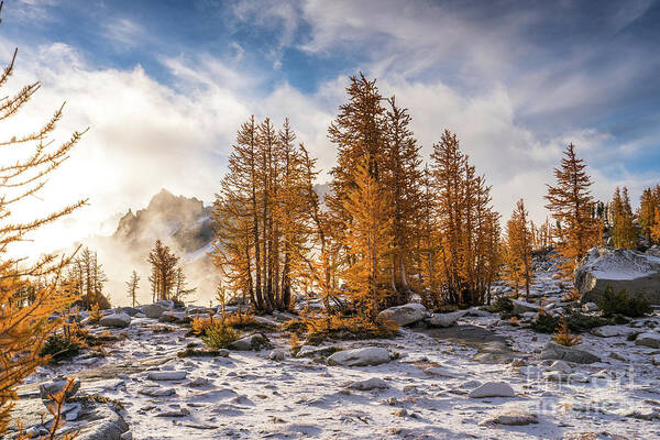 Enchantments Poster featuring the photograph Enchantments Dramatic Fall Beauty by Mike Reid