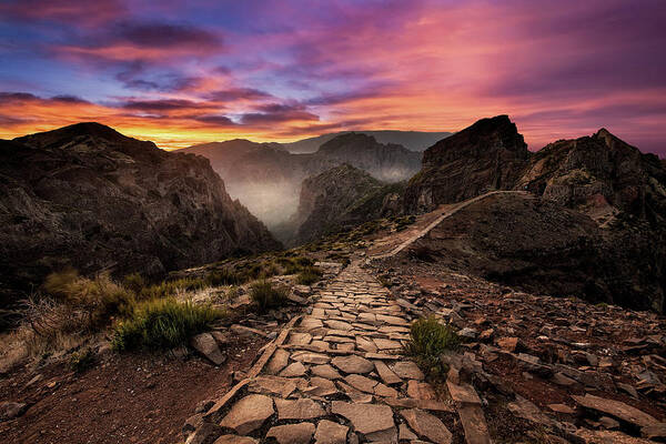 Mountain Poster featuring the photograph Endless path by Jorge Maia