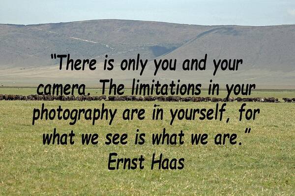 Quote Poster featuring the photograph Ernst Haas by Tony Murtagh