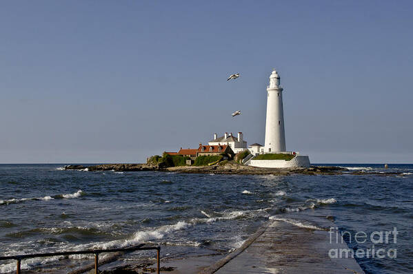 Lighthouse Poster featuring the photograph Evening at St. Mary's Lighthouse by Elena Perelman