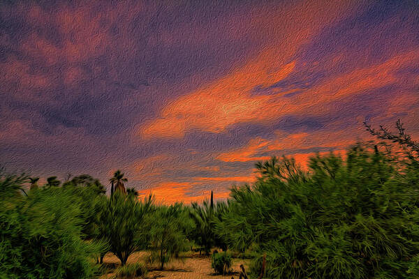 Arizona Poster featuring the photograph Evening Sky op54 by Mark Myhaver