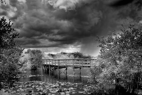 Boardwalk Poster featuring the photograph Everglades 0823BW by Rudy Umans