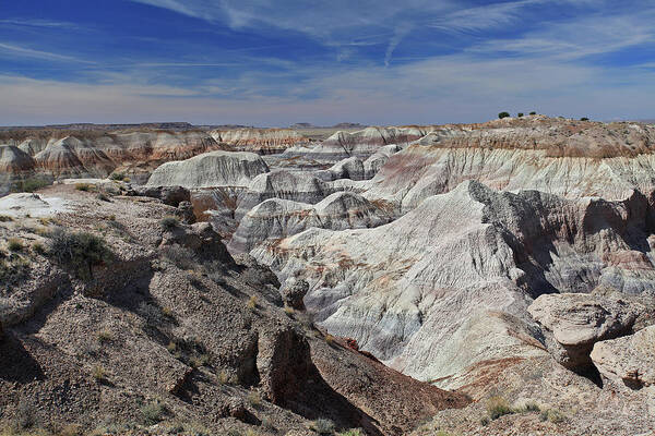 Arizona Poster featuring the photograph Evident Erosion by Gary Kaylor