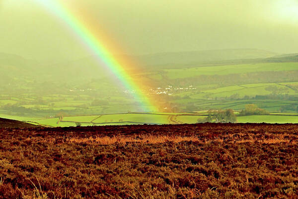 Nature Poster featuring the photograph Exmoor Rainbow by Richard Denyer