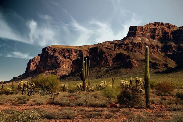 Flatiron Poster featuring the photograph Face of Superstition by Hans Brakob