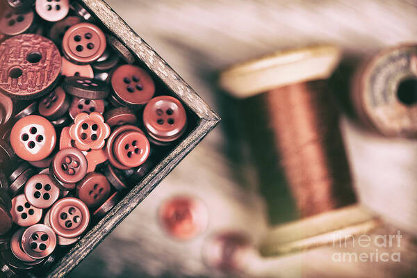 Filter Poster featuring the photograph Faded retro styled red buttons and thread by Jane Rix
