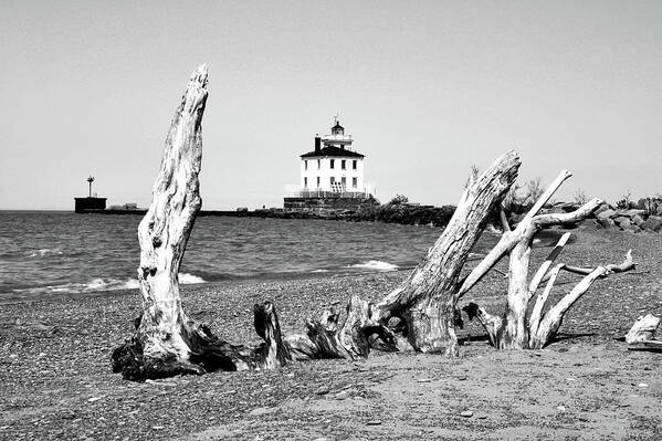 Driftwood Poster featuring the photograph Fairport Harbor Lighthouse by Michelle Joseph-Long