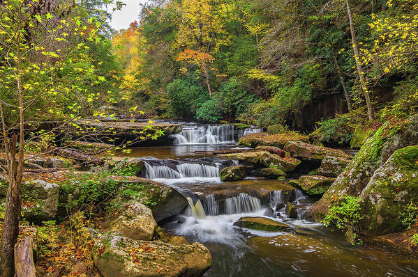 2017-10-29 Poster featuring the photograph Fall at Bark Camp creek by Ulrich Burkhalter